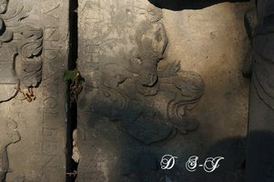 Widok fragmentu pyty